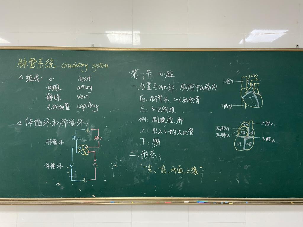 板书比赛获奖作品图片